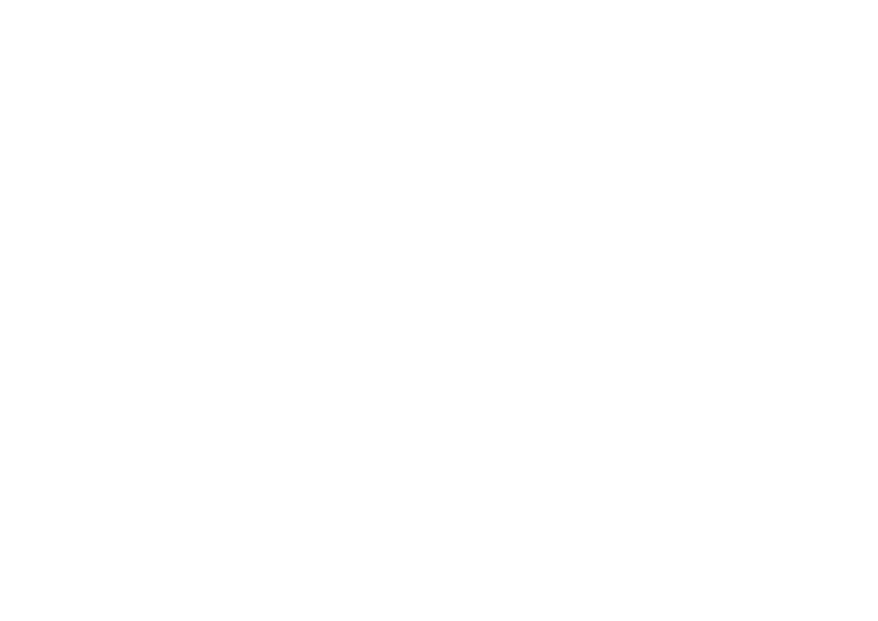 Garnier